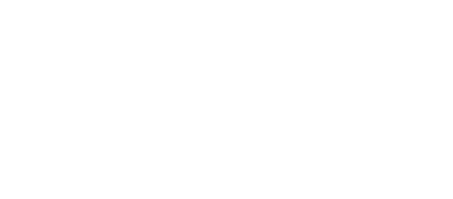 la ficcion